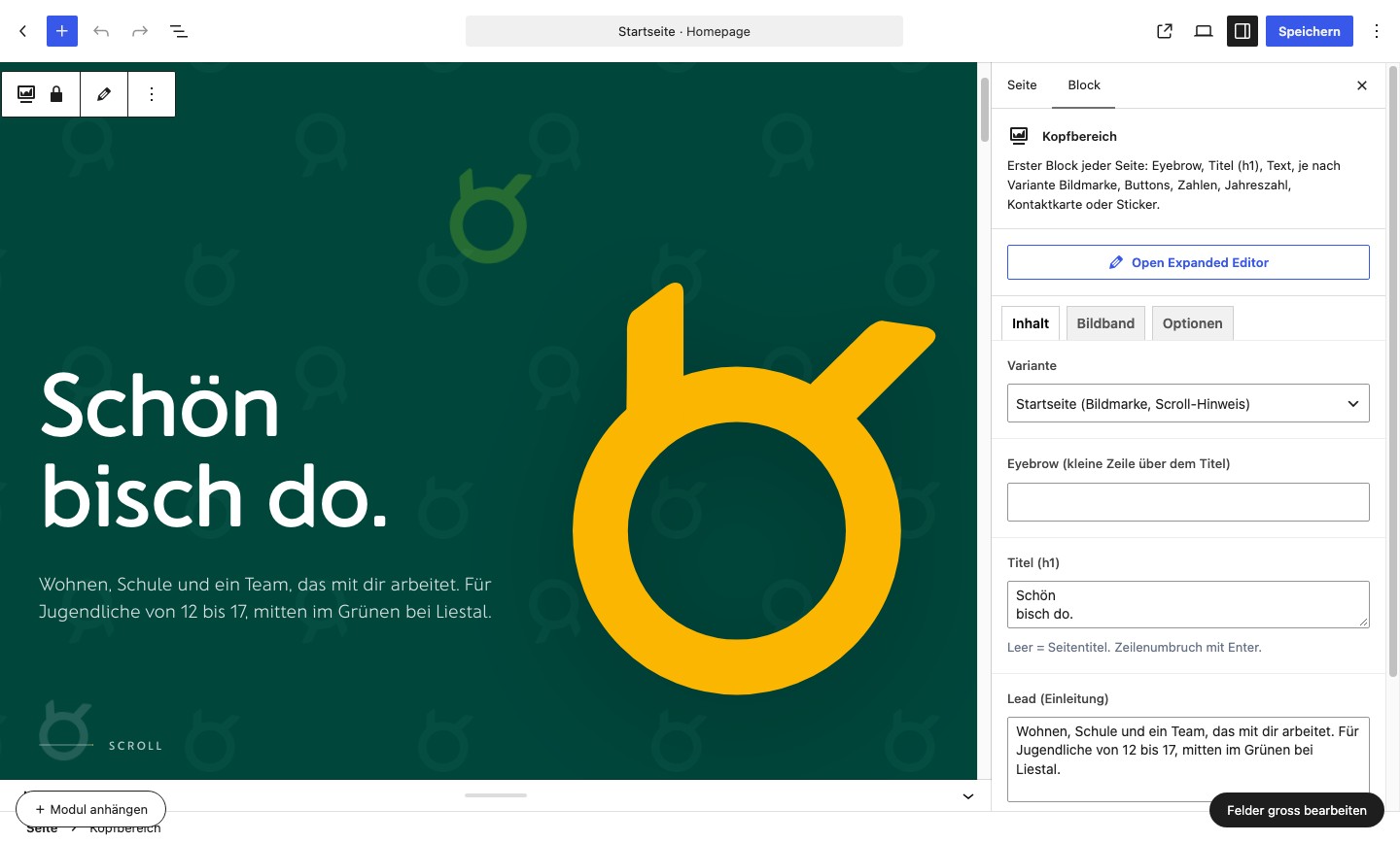 Backend: homepage header in the editor